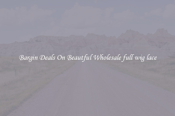 Bargin Deals On Beautful Wholesale full wig lace