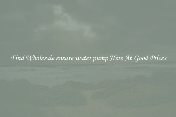 Find Wholesale ensure water pump Here At Good Prices