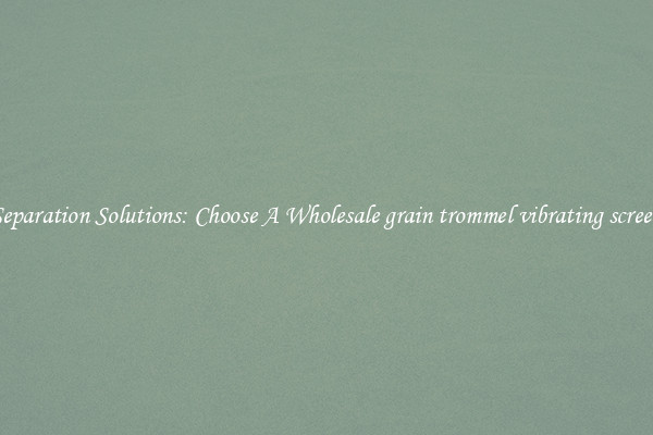 Separation Solutions: Choose A Wholesale grain trommel vibrating screen