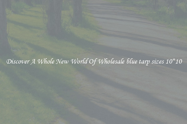 Discover A Whole New World Of Wholesale blue tarp sizes 10*10