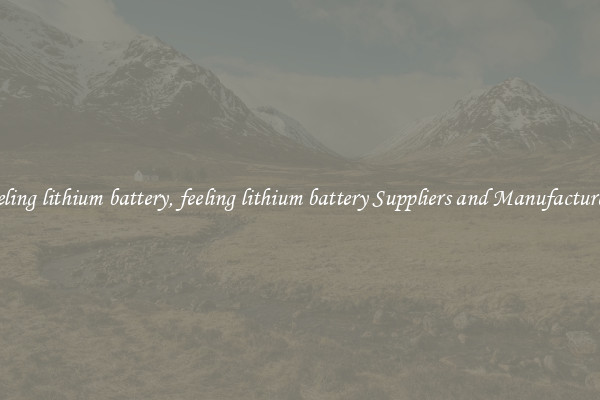 feeling lithium battery, feeling lithium battery Suppliers and Manufacturers