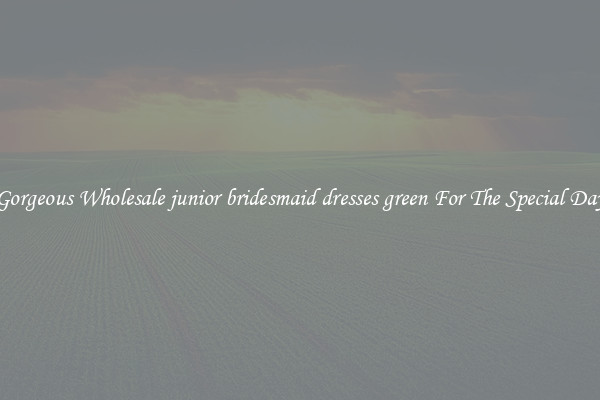 Gorgeous Wholesale junior bridesmaid dresses green For The Special Day
