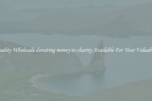 Quality Wholesale donating money to charity Available For Your Valuables