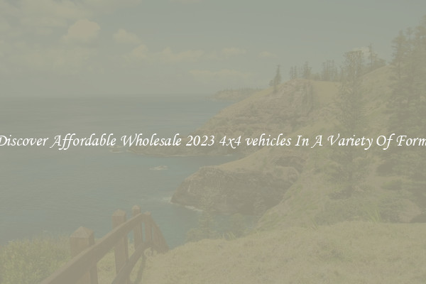 Discover Affordable Wholesale 2023 4x4 vehicles In A Variety Of Forms
