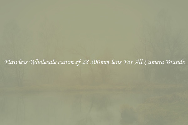 Flawless Wholesale canon ef 28 300mm lens For All Camera Brands