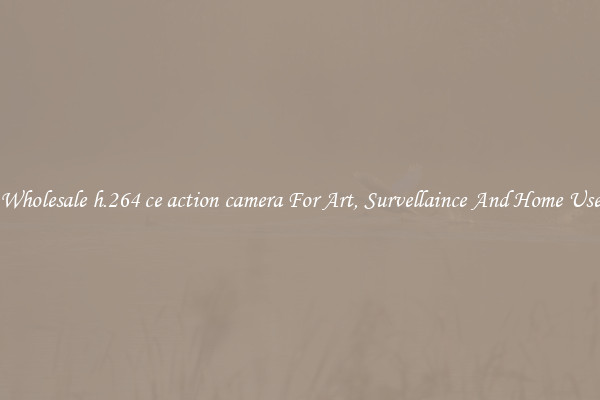 Wholesale h.264 ce action camera For Art, Survellaince And Home Use