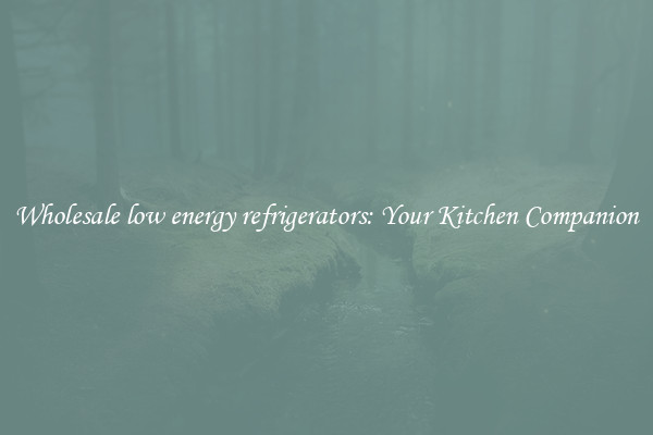 Wholesale low energy refrigerators: Your Kitchen Companion