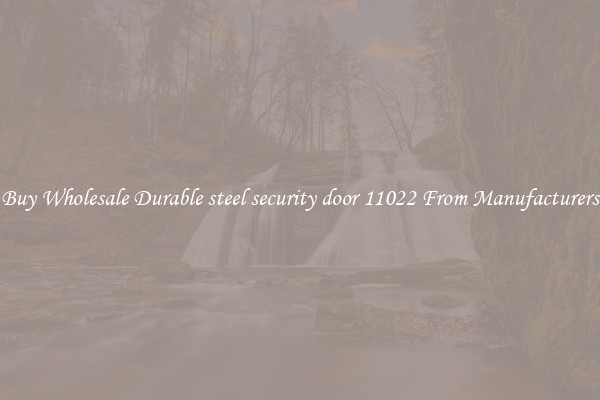 Buy Wholesale Durable steel security door 11022 From Manufacturers