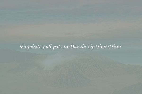 Exquisite pull pots to Dazzle Up Your Décor 