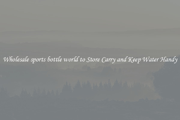 Wholesale sports bottle world to Store Carry and Keep Water Handy