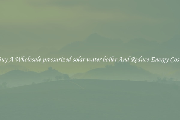 Buy A Wholesale pressurized solar water boiler And Reduce Energy Costs