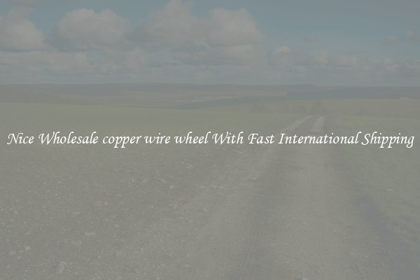 Nice Wholesale copper wire wheel With Fast International Shipping