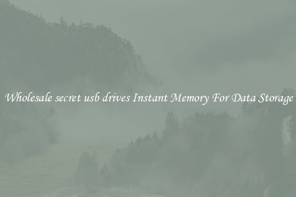 Wholesale secret usb drives Instant Memory For Data Storage