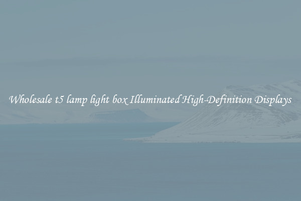 Wholesale t5 lamp light box Illuminated High-Definition Displays 