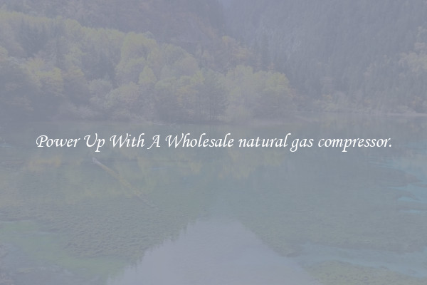 Power Up With A Wholesale natural gas compressor.
