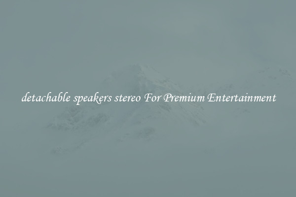 detachable speakers stereo For Premium Entertainment