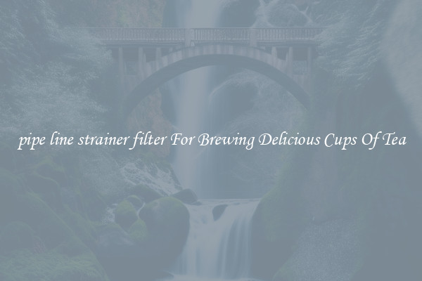 pipe line strainer filter For Brewing Delicious Cups Of Tea