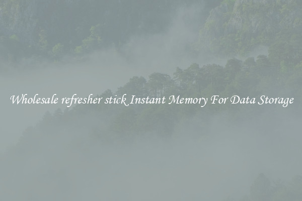 Wholesale refresher stick Instant Memory For Data Storage