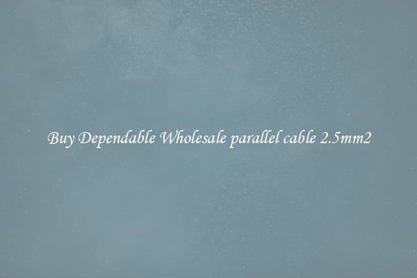 Buy Dependable Wholesale parallel cable 2.5mm2