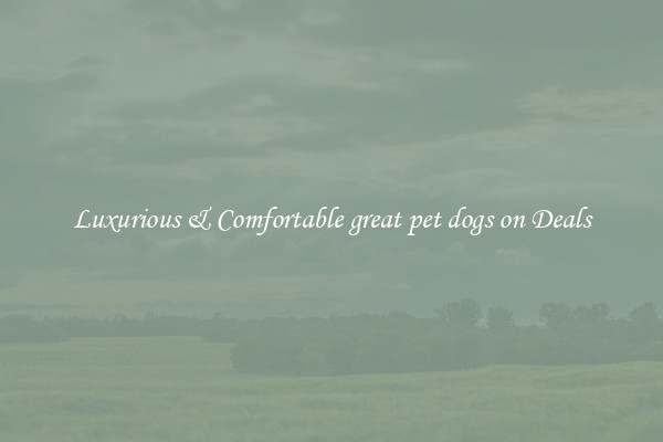 Luxurious & Comfortable great pet dogs on Deals