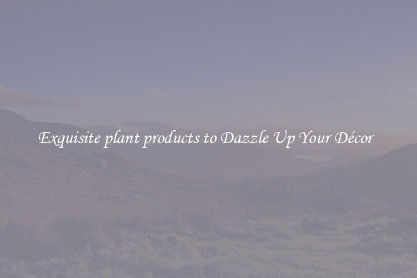 Exquisite plant products to Dazzle Up Your Décor  