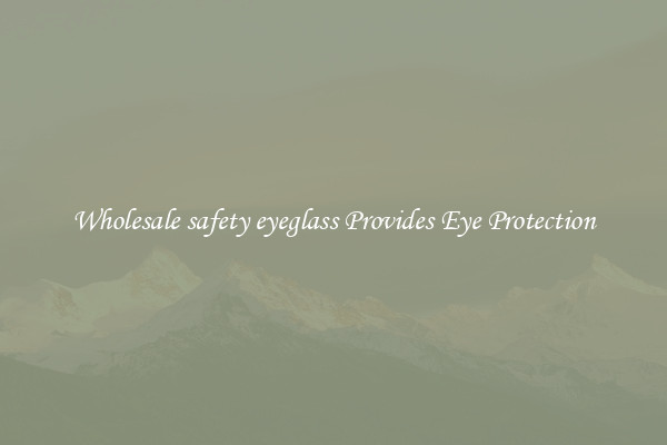 Wholesale safety eyeglass Provides Eye Protection