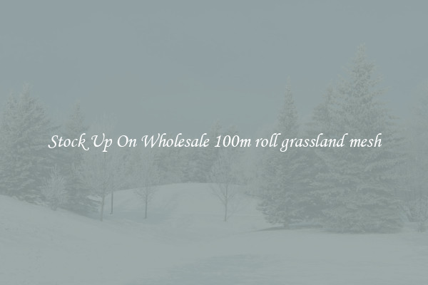 Stock Up On Wholesale 100m roll grassland mesh