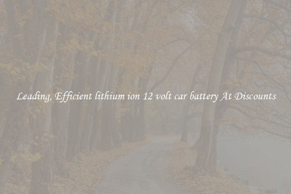 Leading, Efficient lithium ion 12 volt car battery At Discounts