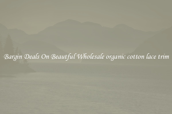 Bargin Deals On Beautful Wholesale organic cotton lace trim