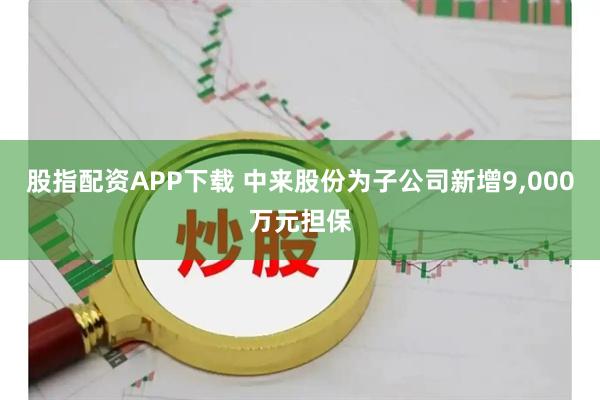 股指配资APP下载 中来股份为子公司新增9,000万元担保