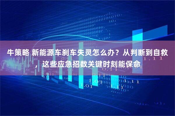 牛策略 新能源车刹车失灵怎么办？从判断到自救，这些应急招数关键时刻能保命