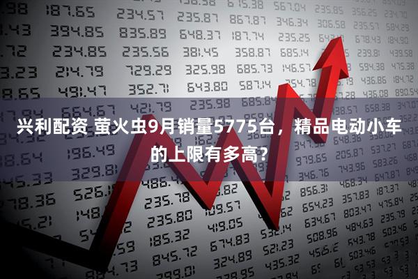 兴利配资 萤火虫9月销量5775台，精品电动小车的上限有多高？