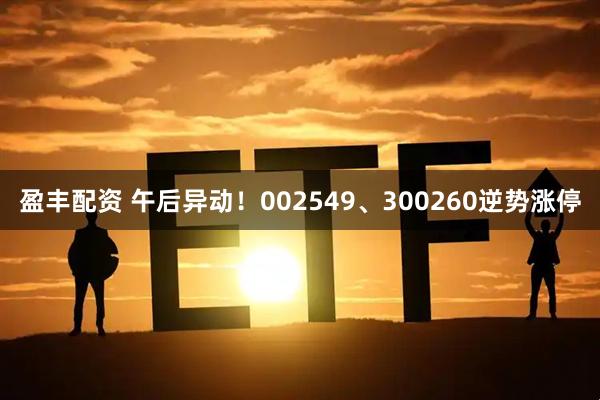 盈丰配资 午后异动！002549、300260逆势涨停
